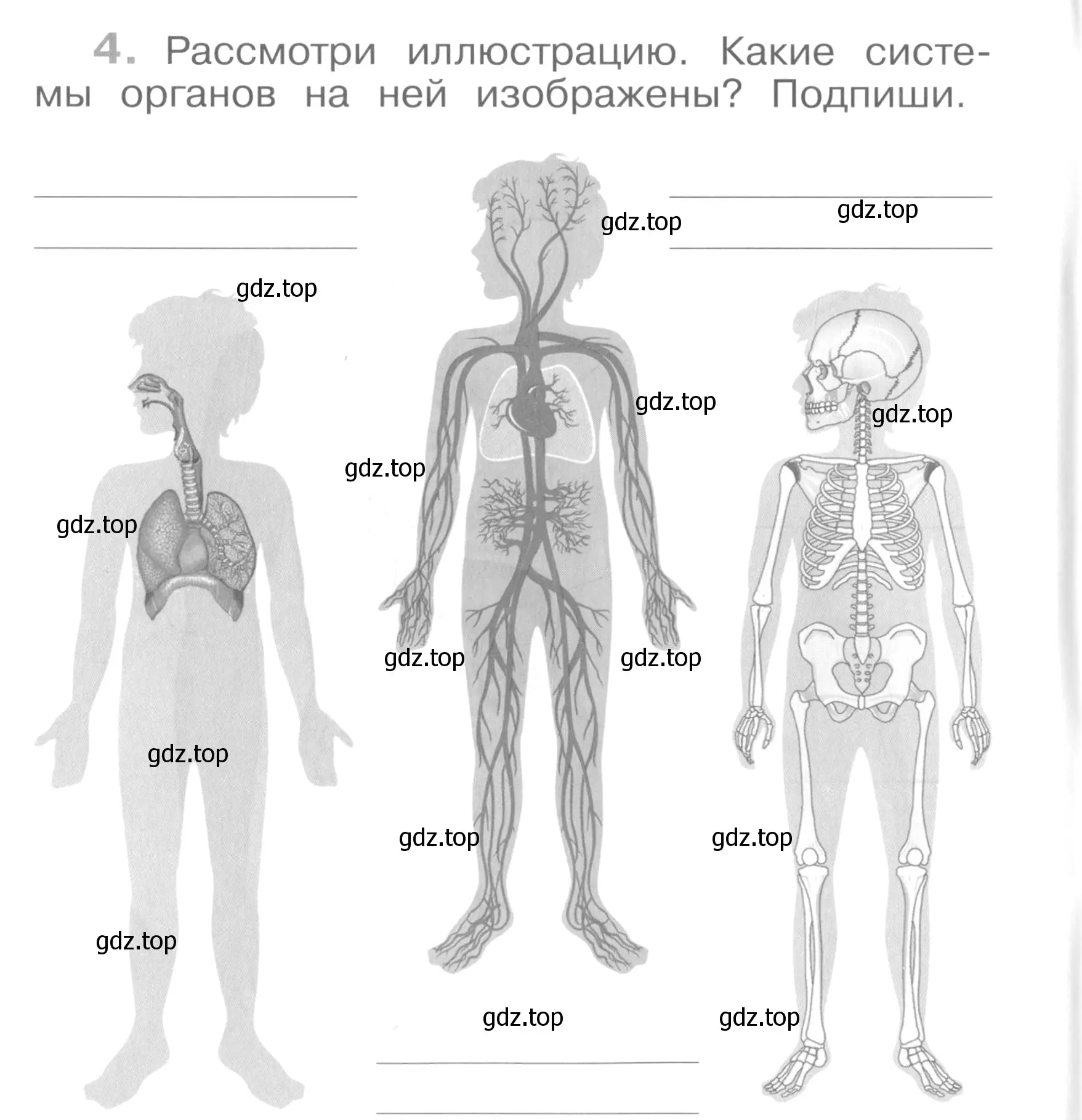 Условие номер 4 (страница 6) гдз по окружающему миру 4 класс Саплина, Саплин, рабочая тетрадь