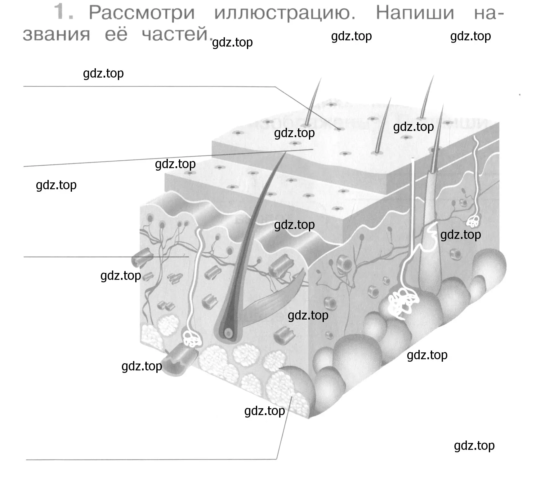 Условие номер 1 (страница 8) гдз по окружающему миру 4 класс Саплина, Саплин, рабочая тетрадь