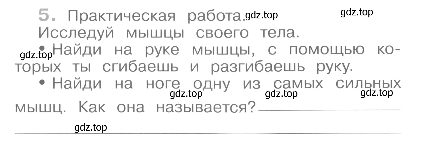 Условие номер 5 (страница 15) гдз по окружающему миру 4 класс Саплина, Саплин, рабочая тетрадь