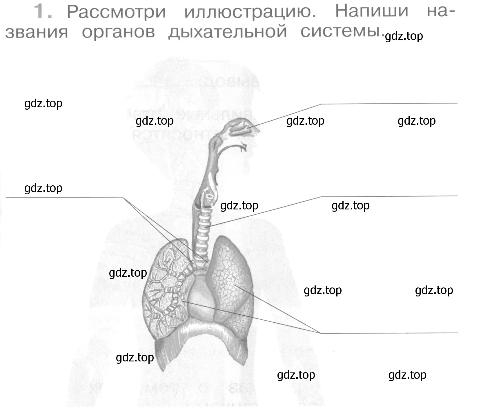 Условие номер 1 (страница 21) гдз по окружающему миру 4 класс Саплина, Саплин, рабочая тетрадь