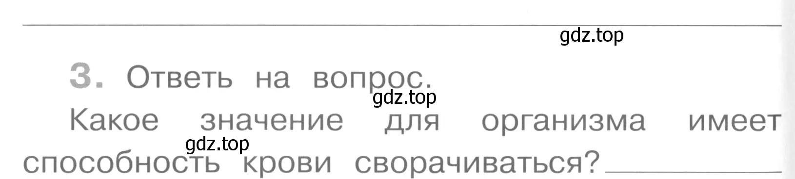 Условие номер 3 (страница 24) гдз по окружающему миру 4 класс Саплина, Саплин, рабочая тетрадь