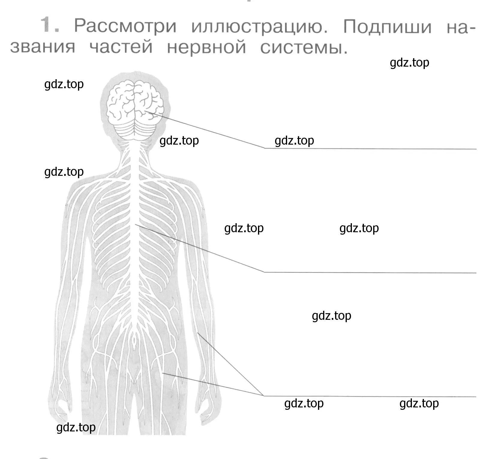 Условие номер 1 (страница 26) гдз по окружающему миру 4 класс Саплина, Саплин, рабочая тетрадь