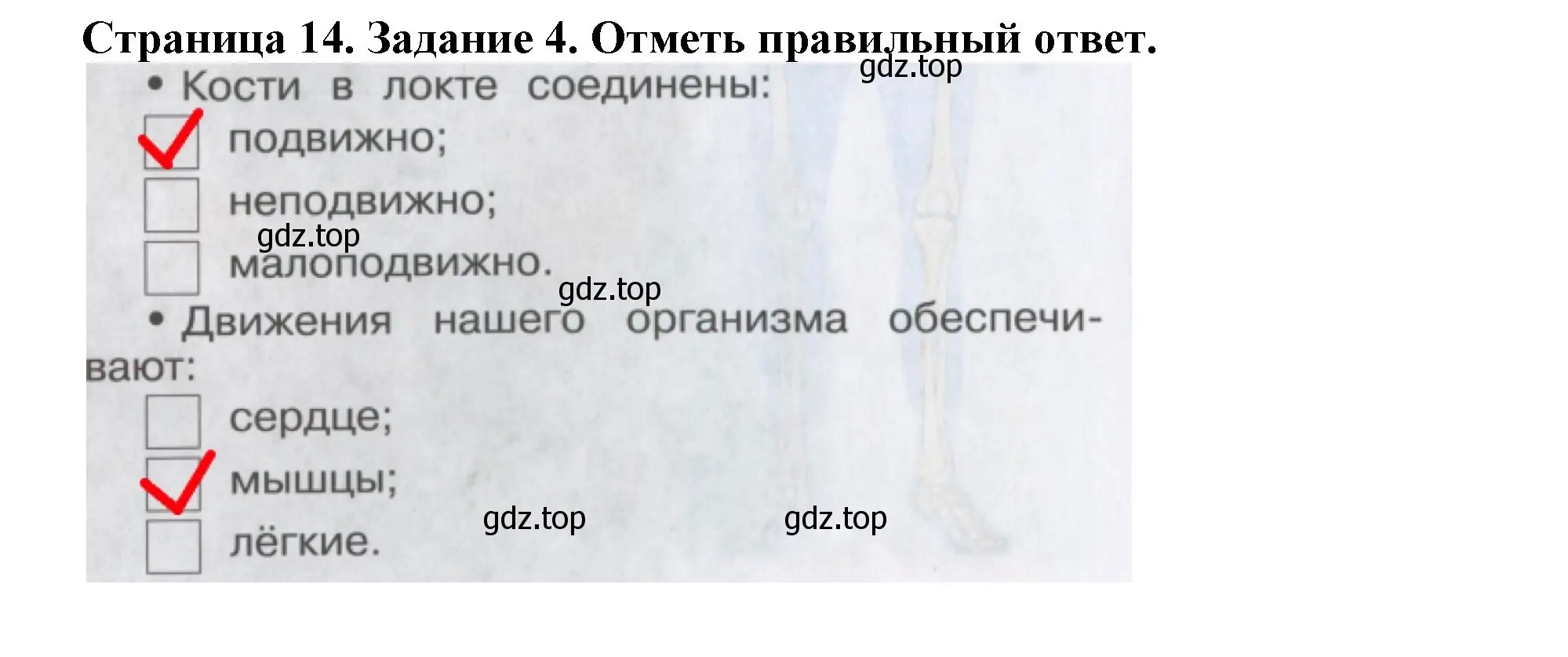 Решение номер 4 (страница 14) гдз по окружающему миру 4 класс Саплина, Саплин, рабочая тетрадь