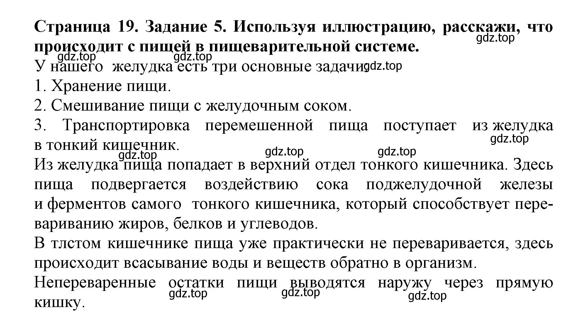 Решение номер 5 (страница 19) гдз по окружающему миру 4 класс Саплина, Саплин, рабочая тетрадь