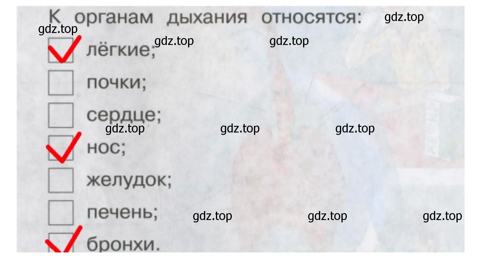 Решение номер 4 (страница 22) гдз по окружающему миру 4 класс Саплина, Саплин, рабочая тетрадь