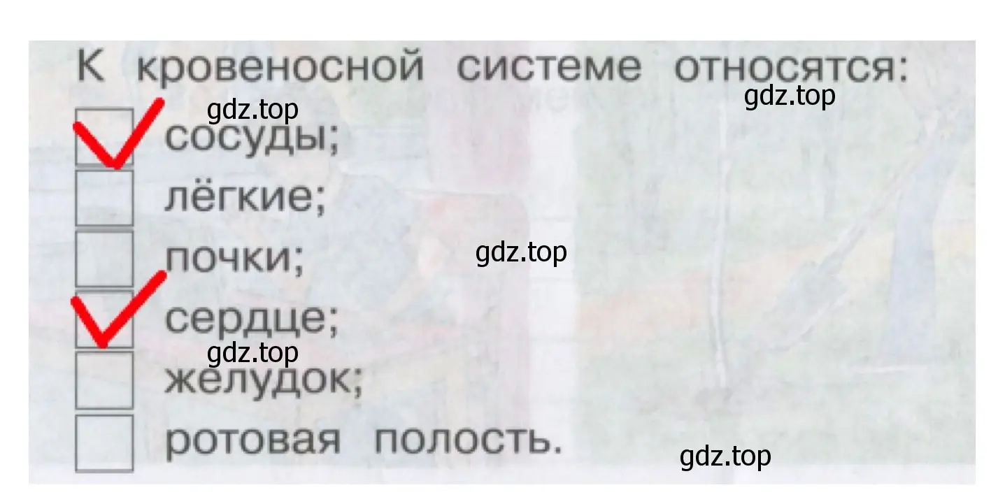 Решение номер 4 (страница 24) гдз по окружающему миру 4 класс Саплина, Саплин, рабочая тетрадь