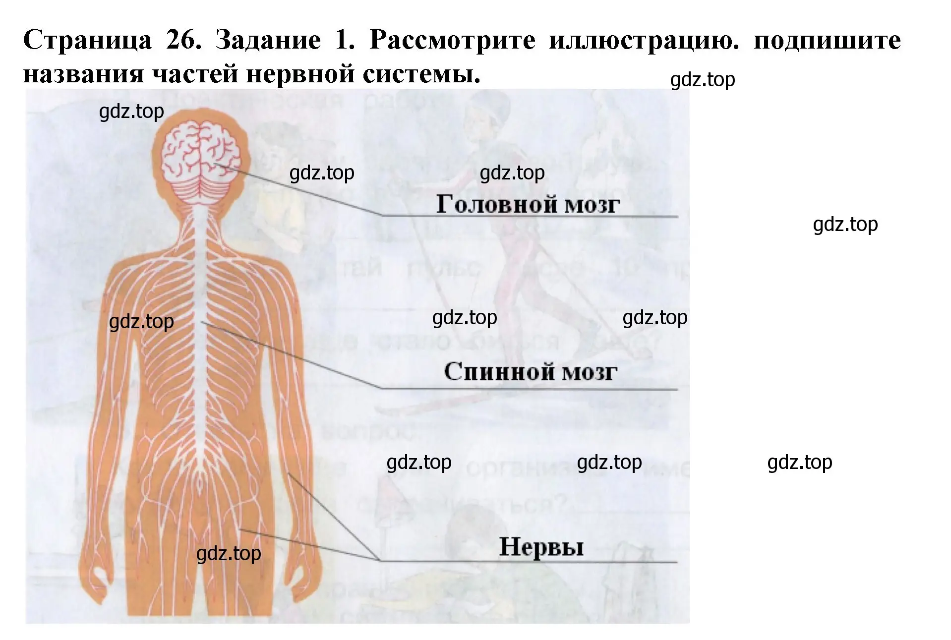 Решение номер 1 (страница 26) гдз по окружающему миру 4 класс Саплина, Саплин, рабочая тетрадь