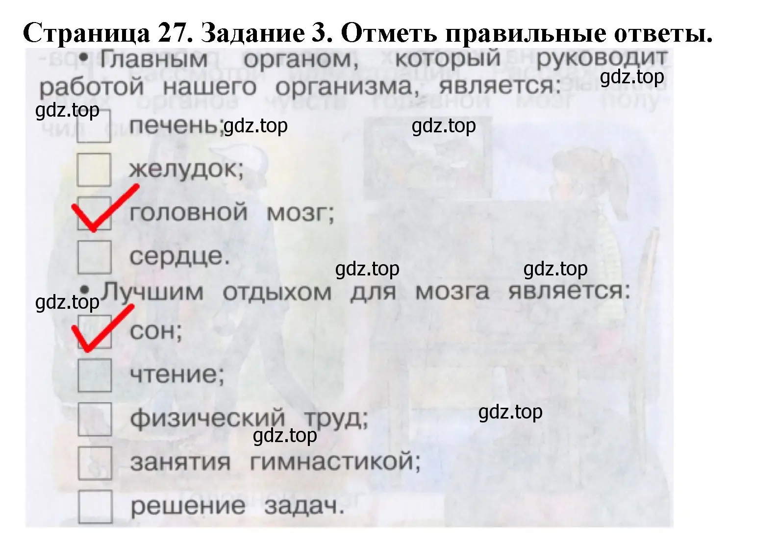 Решение номер 3 (страница 27) гдз по окружающему миру 4 класс Саплина, Саплин, рабочая тетрадь