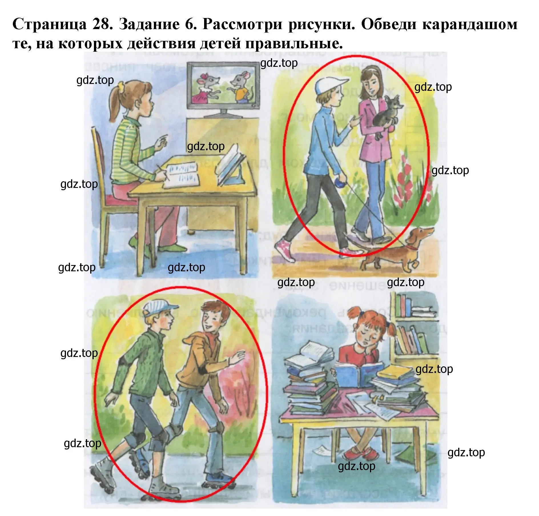 Решение номер 6 (страница 28) гдз по окружающему миру 4 класс Саплина, Саплин, рабочая тетрадь