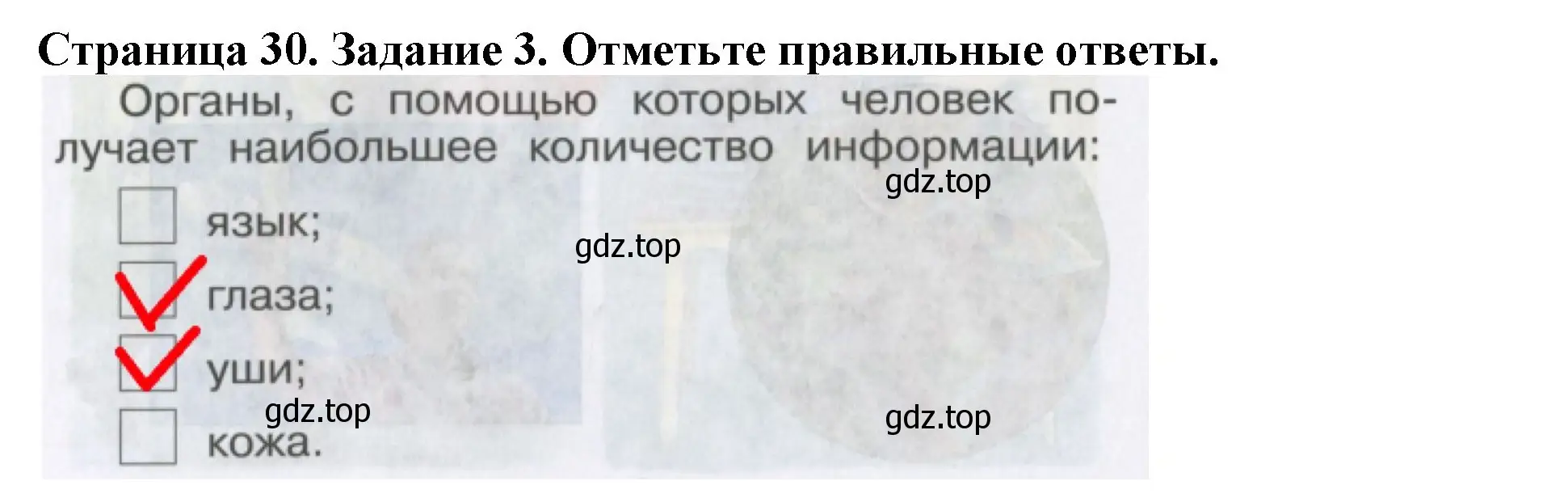 Решение номер 3 (страница 30) гдз по окружающему миру 4 класс Саплина, Саплин, рабочая тетрадь