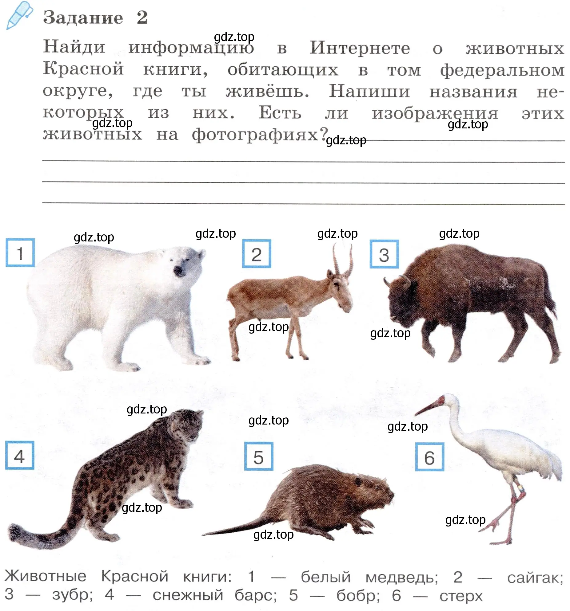 Условие номер 2 (страница 15) гдз по окружающему миру 4 класс Вахрушев, Зорин, рабочая тетрадь 1 часть