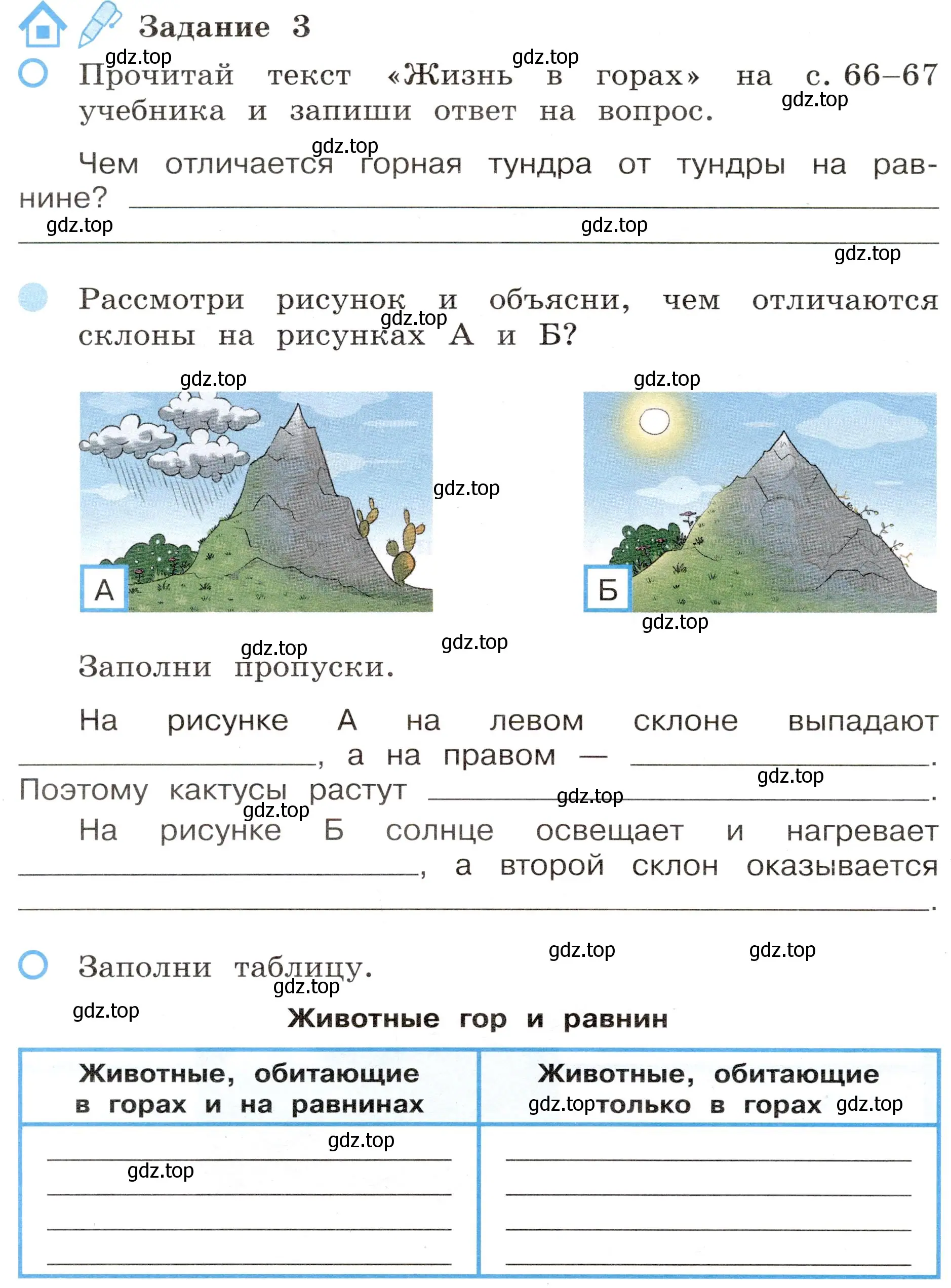 Условие номер 3 (страница 28) гдз по окружающему миру 4 класс Вахрушев, Зорин, рабочая тетрадь 1 часть