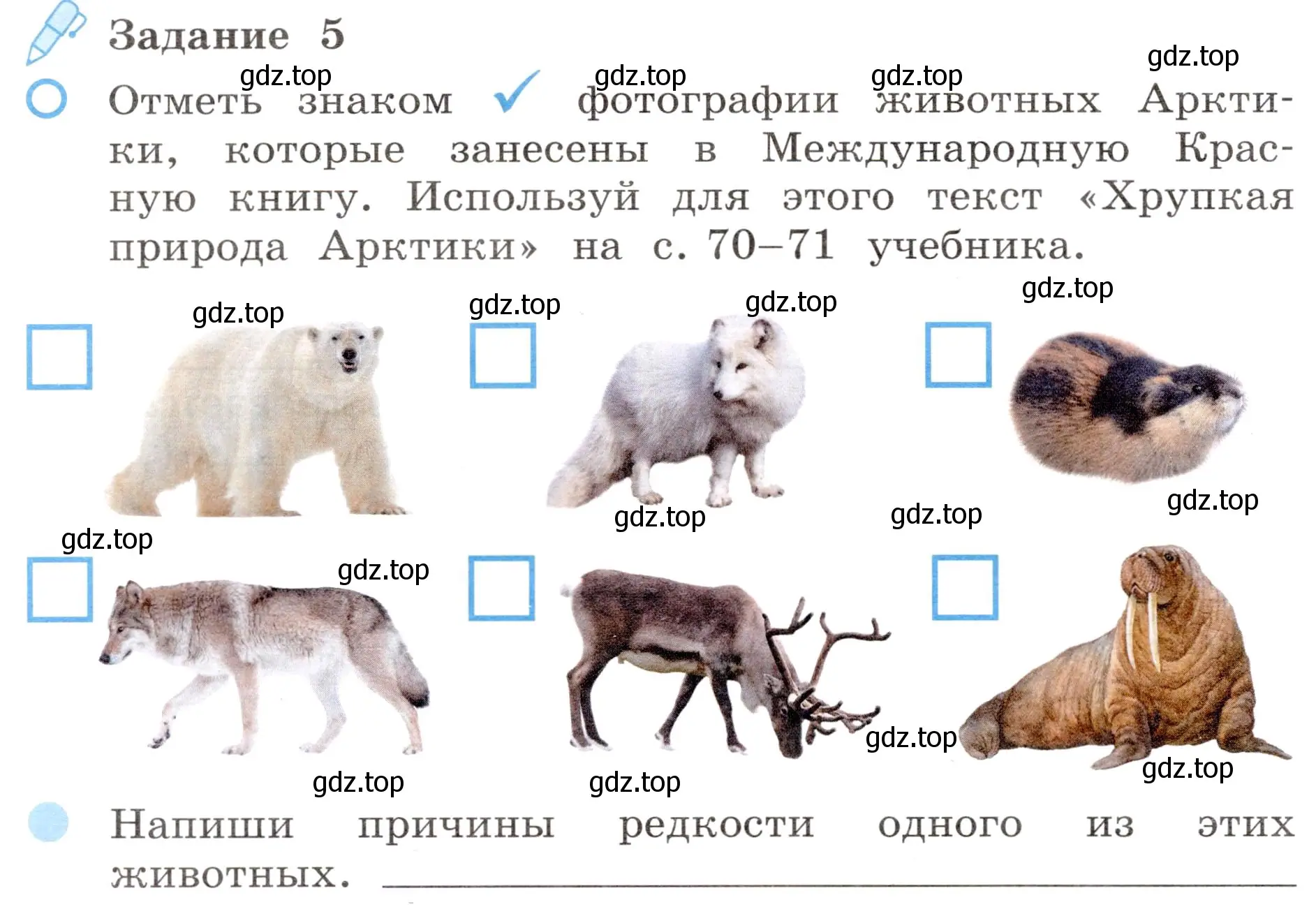 Условие номер 5 (страница 32) гдз по окружающему миру 4 класс Вахрушев, Зорин, рабочая тетрадь 1 часть