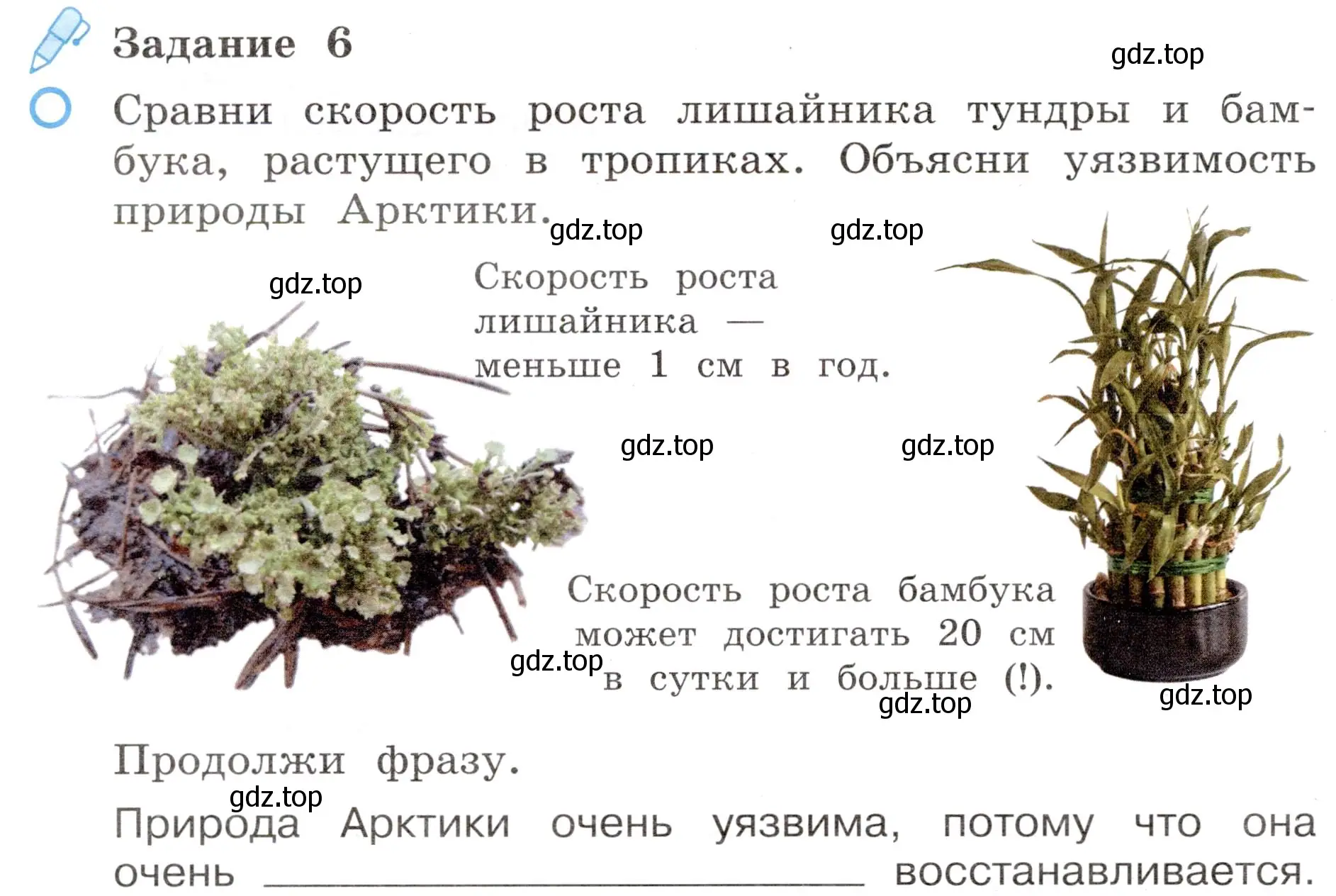 Условие номер 6 (страница 32) гдз по окружающему миру 4 класс Вахрушев, Зорин, рабочая тетрадь 1 часть