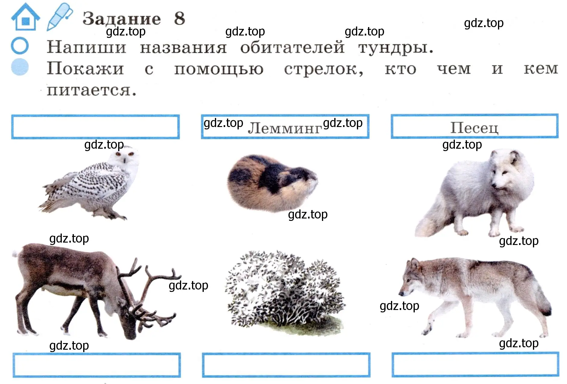 Условие номер 8 (страница 33) гдз по окружающему миру 4 класс Вахрушев, Зорин, рабочая тетрадь 1 часть