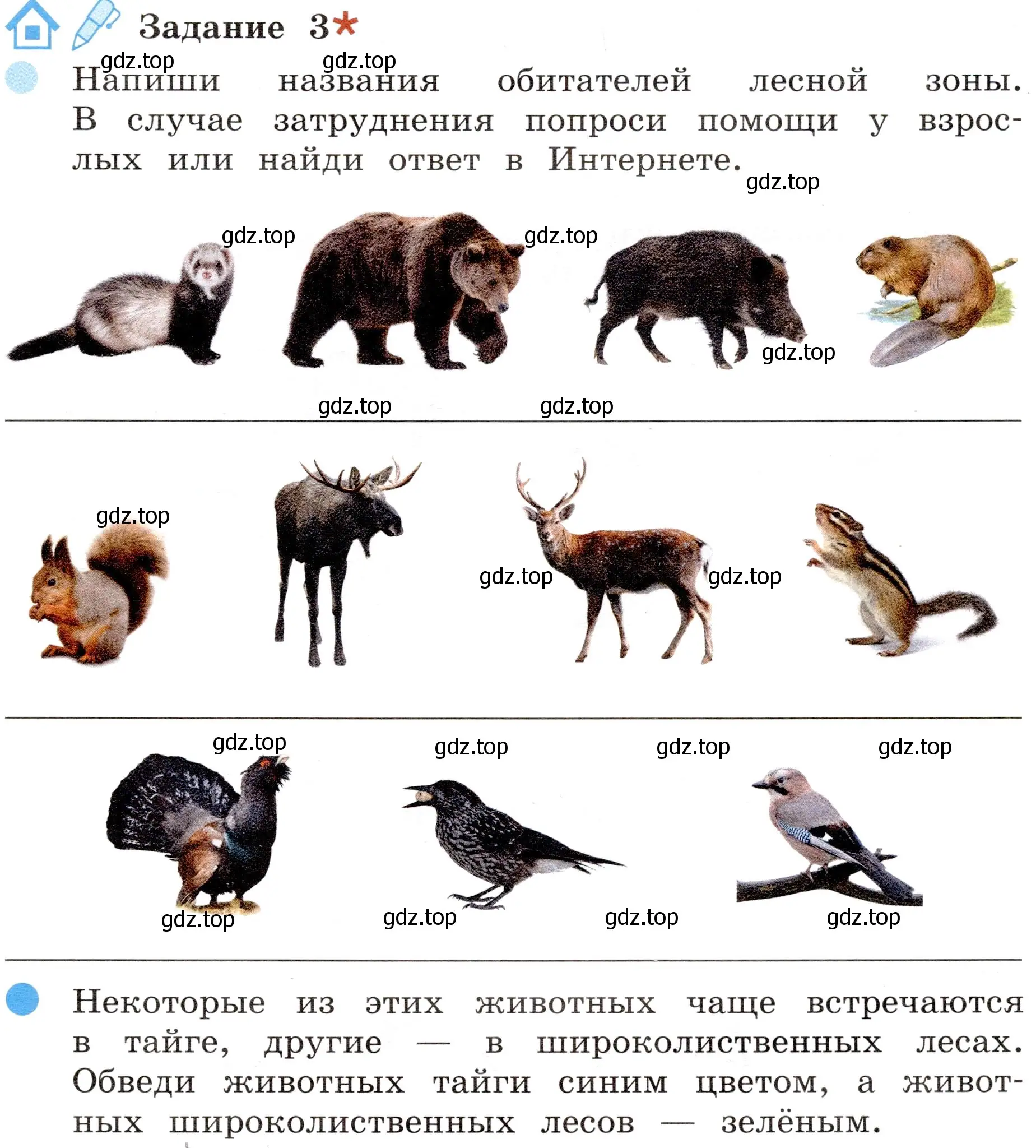 Условие номер 3 (страница 35) гдз по окружающему миру 4 класс Вахрушев, Зорин, рабочая тетрадь 1 часть