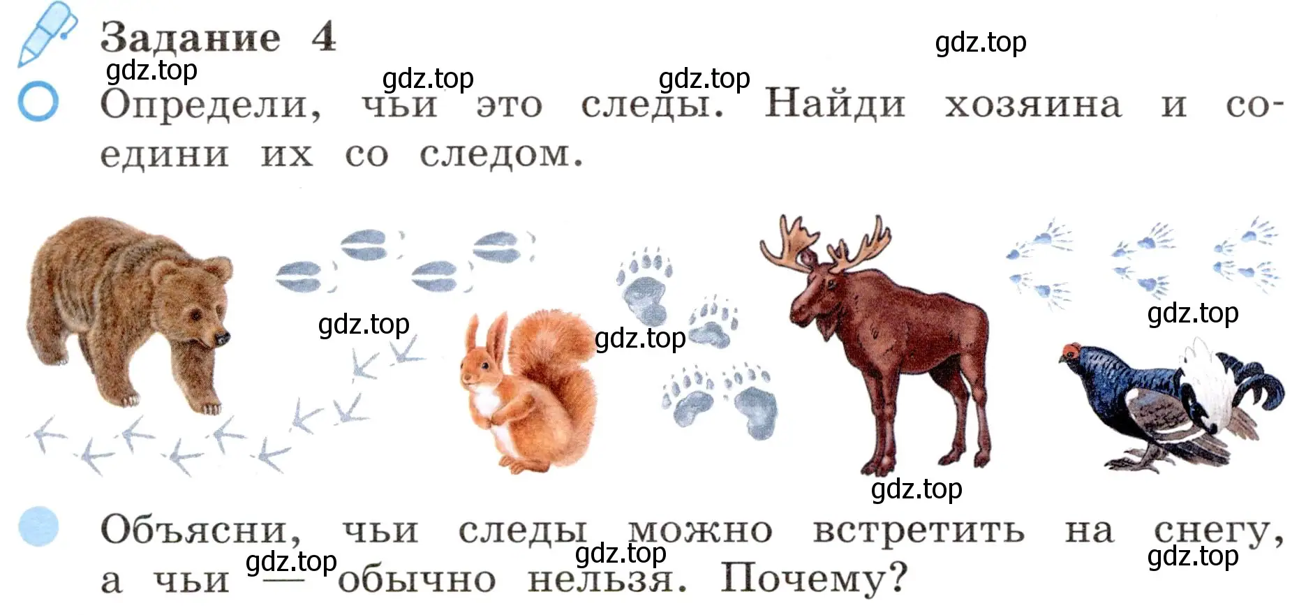 Условие номер 4 (страница 36) гдз по окружающему миру 4 класс Вахрушев, Зорин, рабочая тетрадь 1 часть