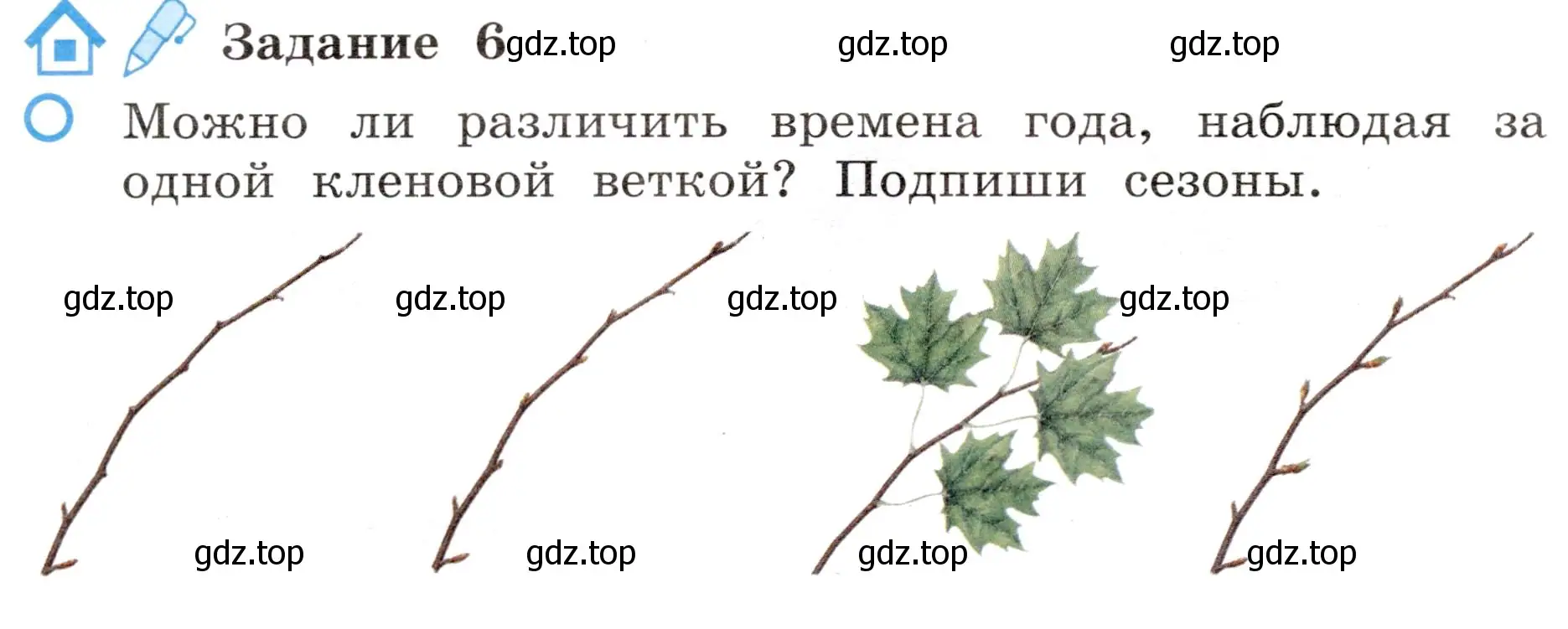 Условие номер 6 (страница 36) гдз по окружающему миру 4 класс Вахрушев, Зорин, рабочая тетрадь 1 часть