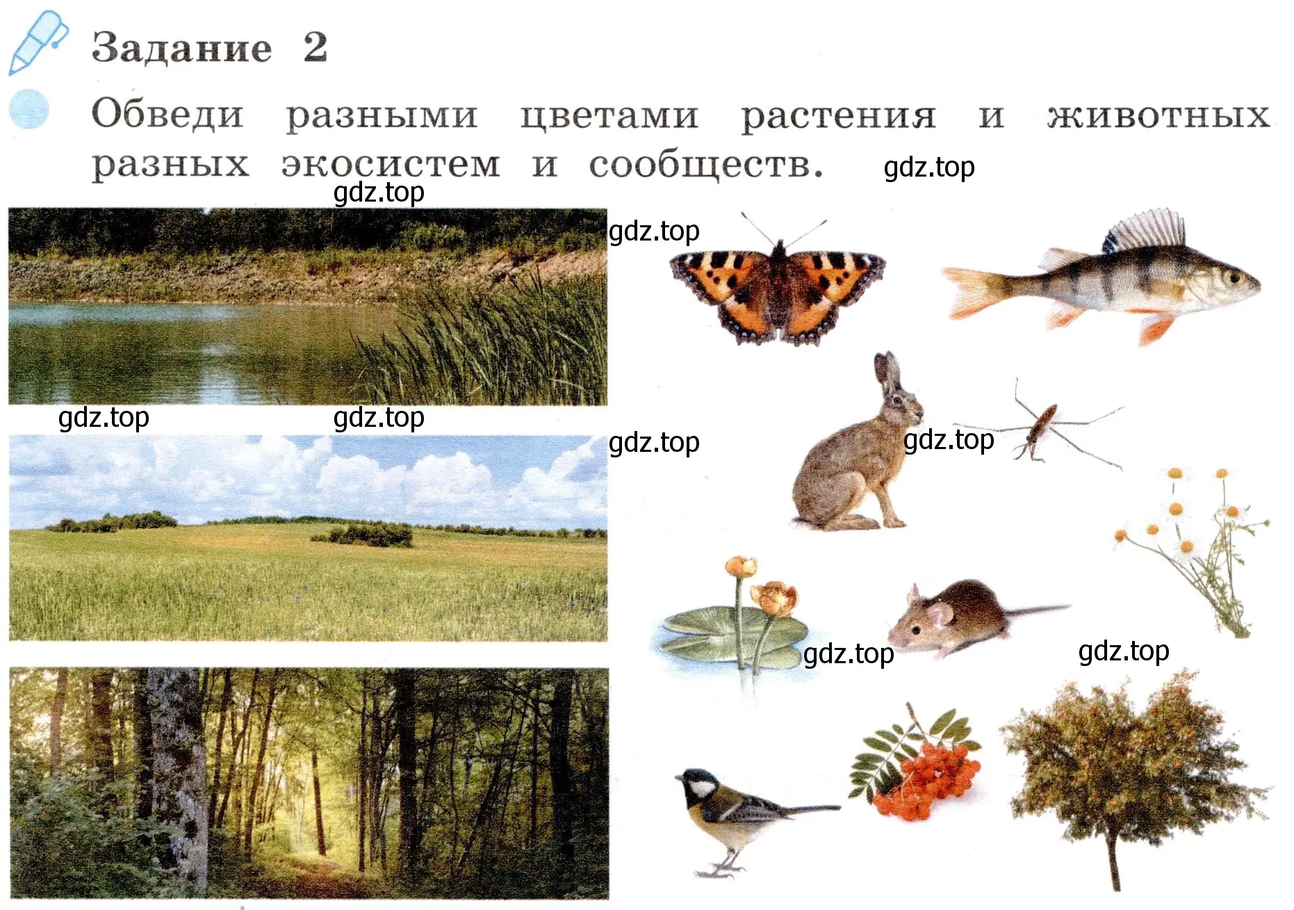 Условие номер 2 (страница 43) гдз по окружающему миру 4 класс Вахрушев, Зорин, рабочая тетрадь 1 часть