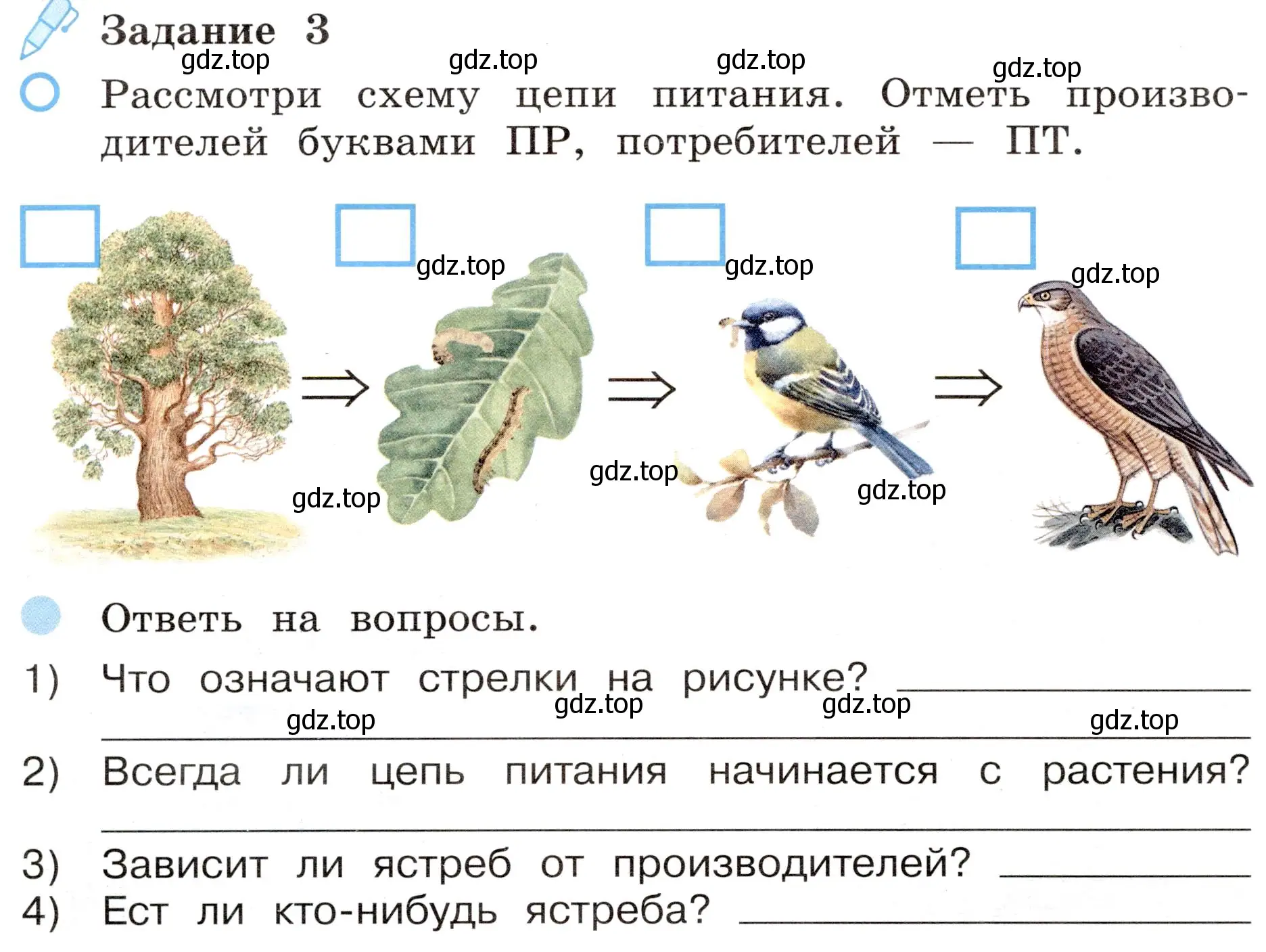 Условие номер 3 (страница 44) гдз по окружающему миру 4 класс Вахрушев, Зорин, рабочая тетрадь 1 часть