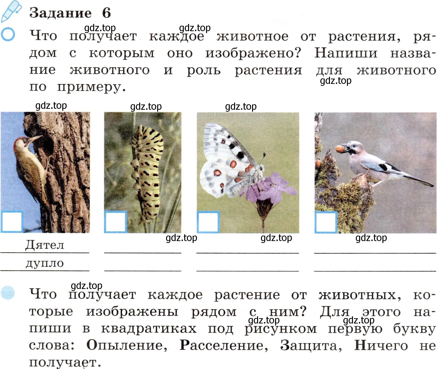 Условие номер 6 (страница 45) гдз по окружающему миру 4 класс Вахрушев, Зорин, рабочая тетрадь 1 часть