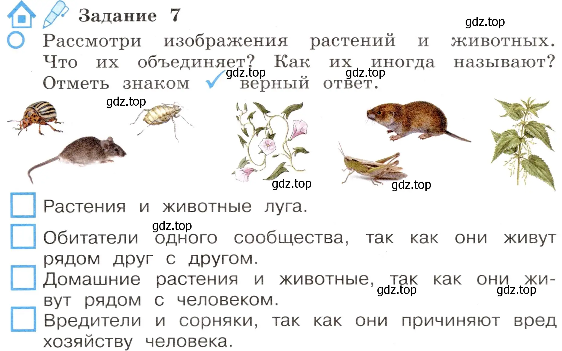 Условие номер 7 (страница 46) гдз по окружающему миру 4 класс Вахрушев, Зорин, рабочая тетрадь 1 часть