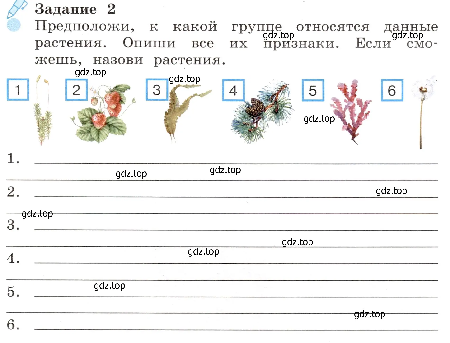 Условие номер 2 (страница 47) гдз по окружающему миру 4 класс Вахрушев, Зорин, рабочая тетрадь 1 часть