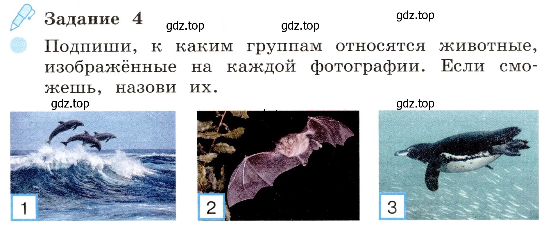 Условие номер 4 (страница 48) гдз по окружающему миру 4 класс Вахрушев, Зорин, рабочая тетрадь 1 часть