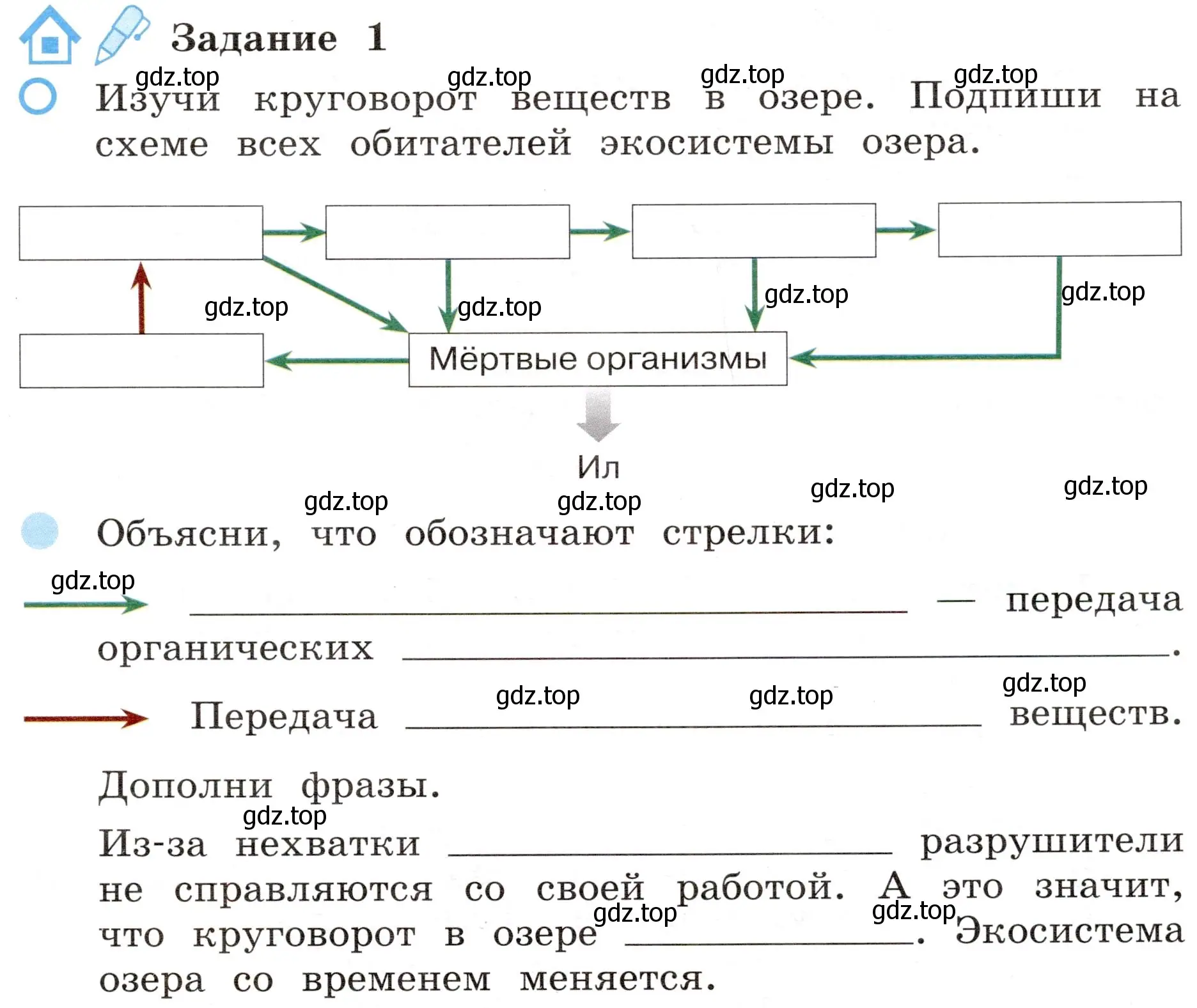 Условие номер 1 (страница 49) гдз по окружающему миру 4 класс Вахрушев, Зорин, рабочая тетрадь 1 часть