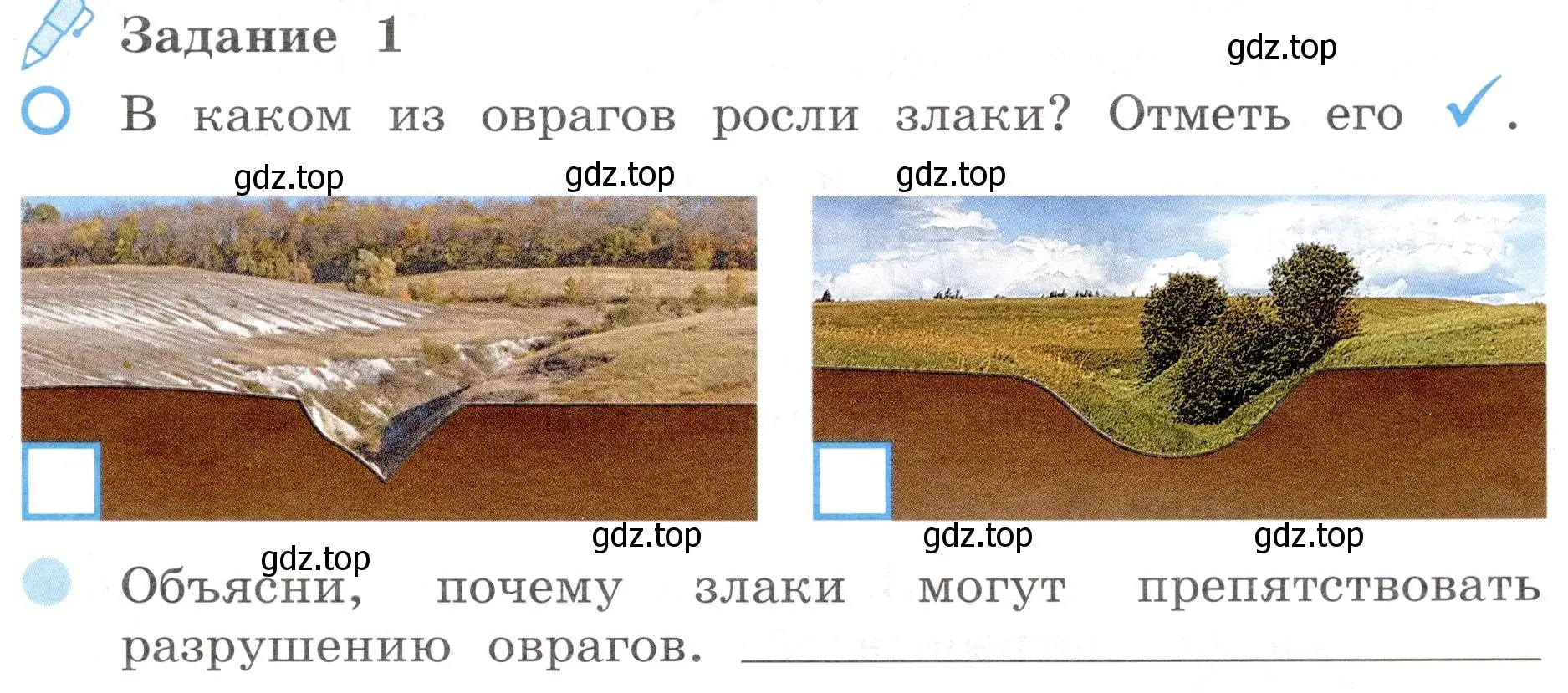 Условие номер 1 (страница 51) гдз по окружающему миру 4 класс Вахрушев, Зорин, рабочая тетрадь 1 часть