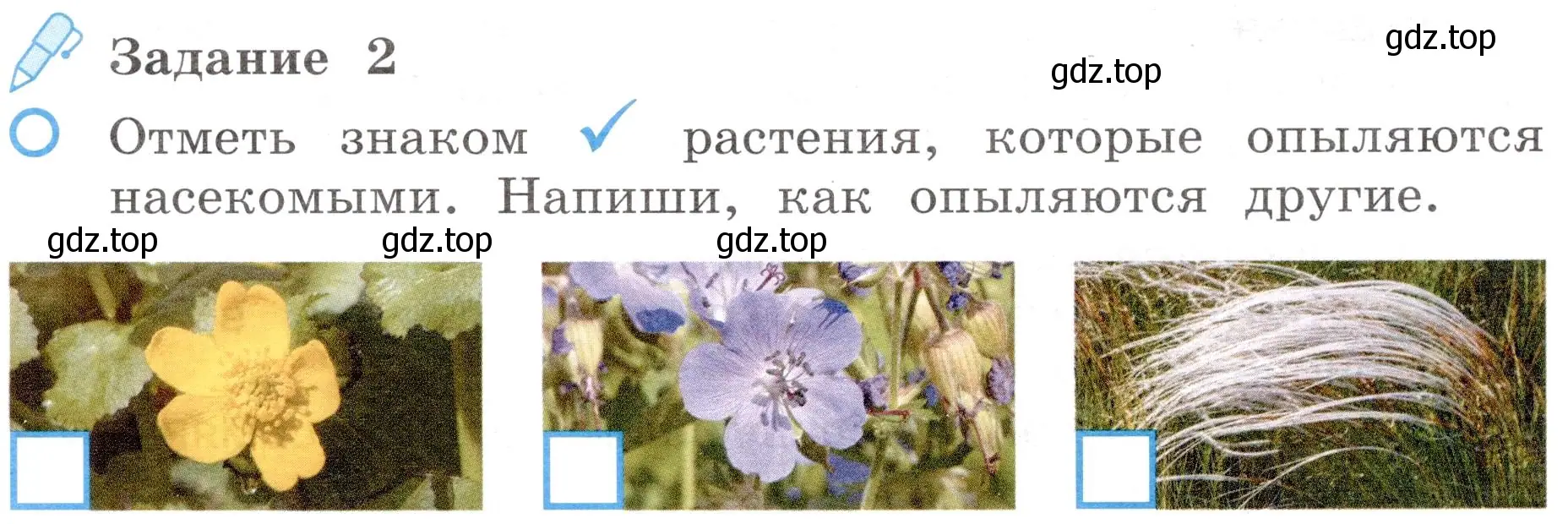 Условие номер 2 (страница 51) гдз по окружающему миру 4 класс Вахрушев, Зорин, рабочая тетрадь 1 часть