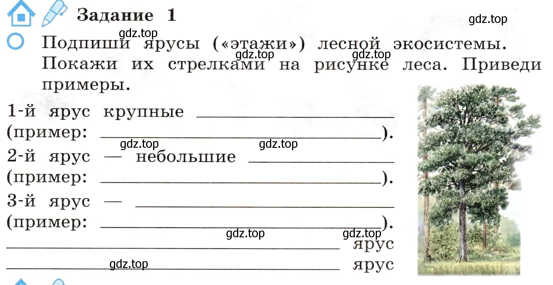 Условие номер 1 (страница 53) гдз по окружающему миру 4 класс Вахрушев, Зорин, рабочая тетрадь 1 часть