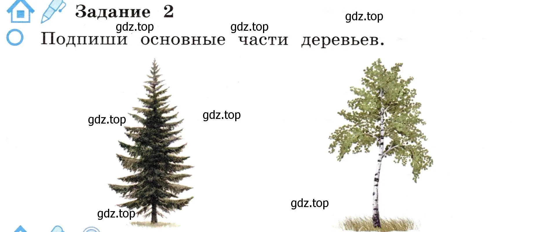 Условие номер 2 (страница 53) гдз по окружающему миру 4 класс Вахрушев, Зорин, рабочая тетрадь 1 часть