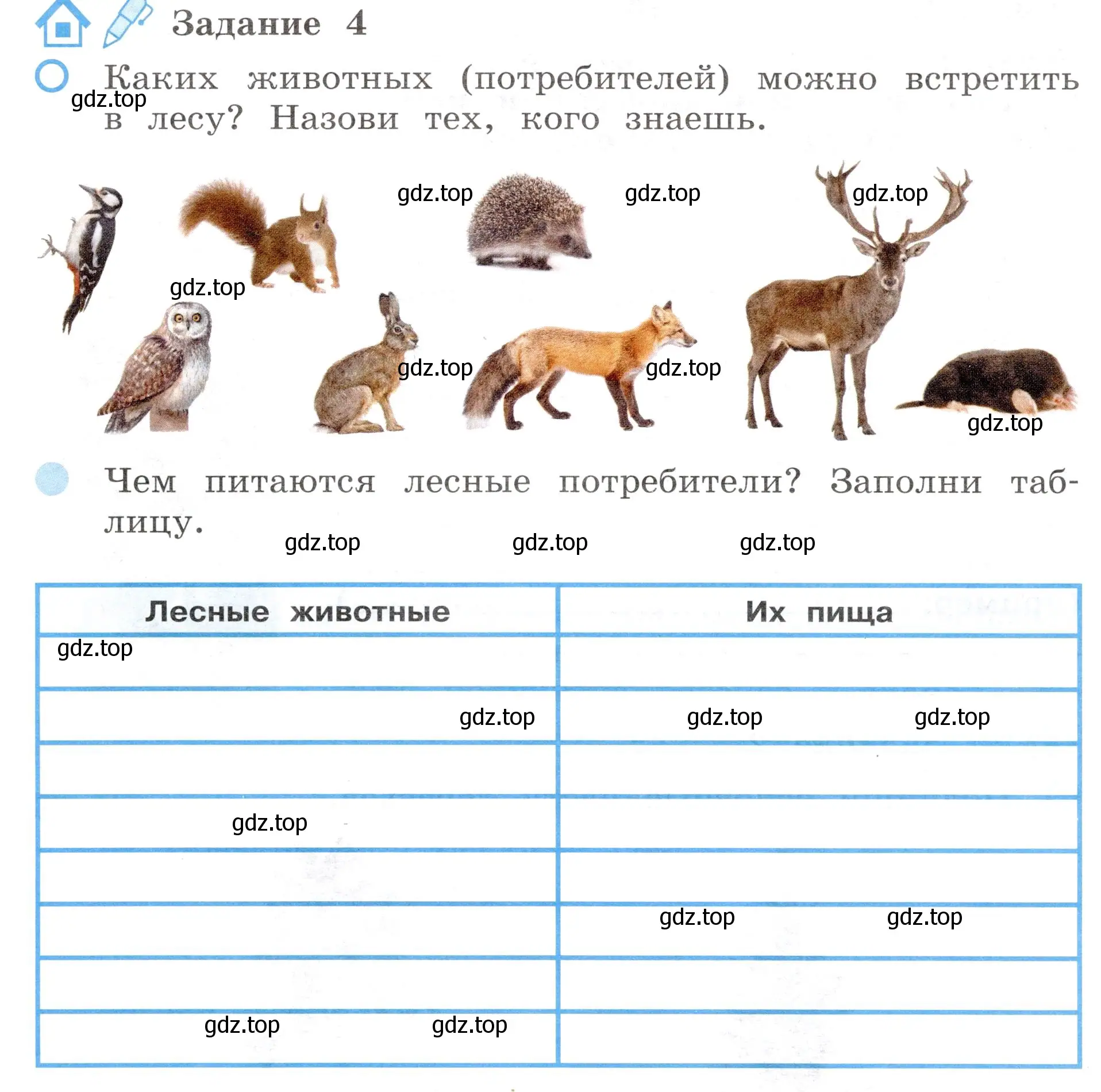 Условие номер 4 (страница 54) гдз по окружающему миру 4 класс Вахрушев, Зорин, рабочая тетрадь 1 часть