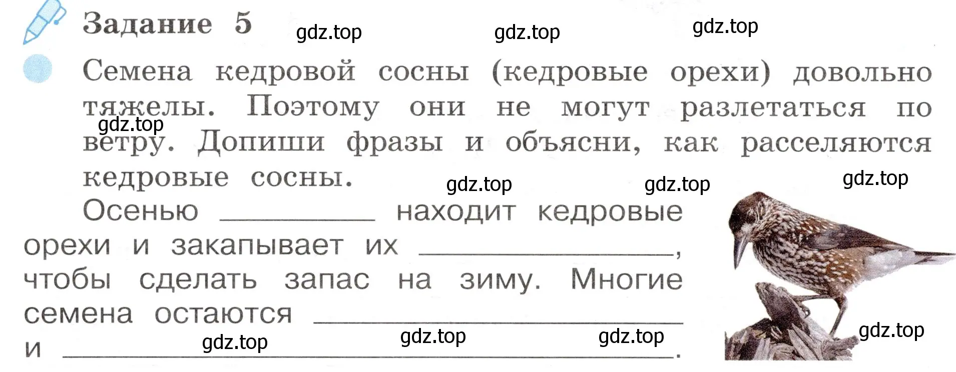 Условие номер 5 (страница 54) гдз по окружающему миру 4 класс Вахрушев, Зорин, рабочая тетрадь 1 часть