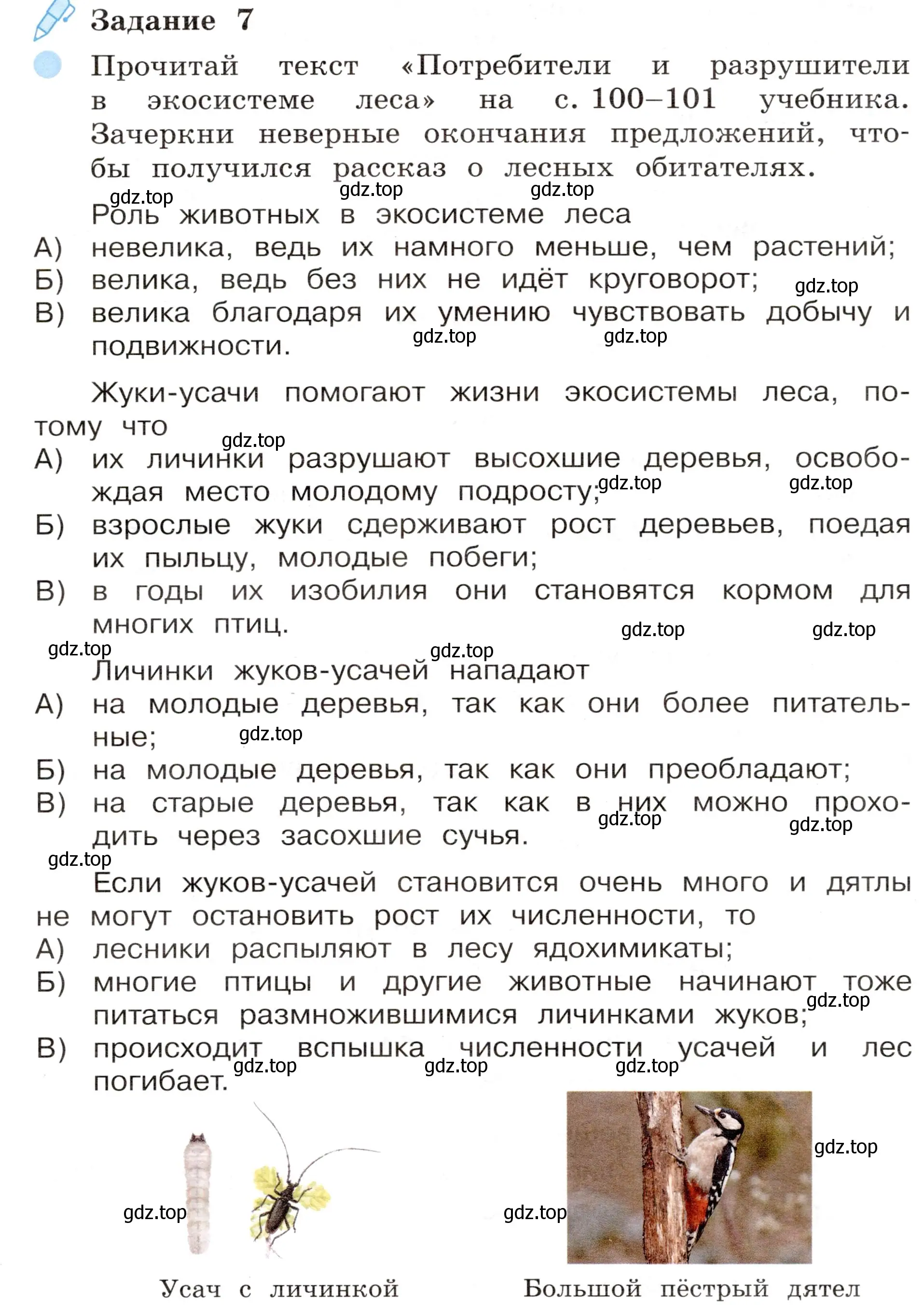 Условие номер 7 (страница 56) гдз по окружающему миру 4 класс Вахрушев, Зорин, рабочая тетрадь 1 часть