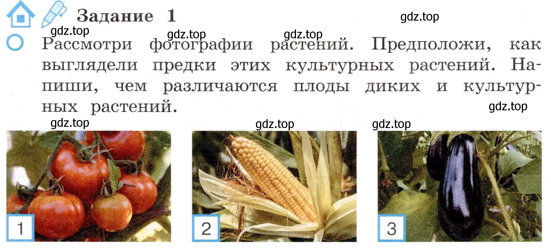 Условие номер 1 (страница 57) гдз по окружающему миру 4 класс Вахрушев, Зорин, рабочая тетрадь 1 часть