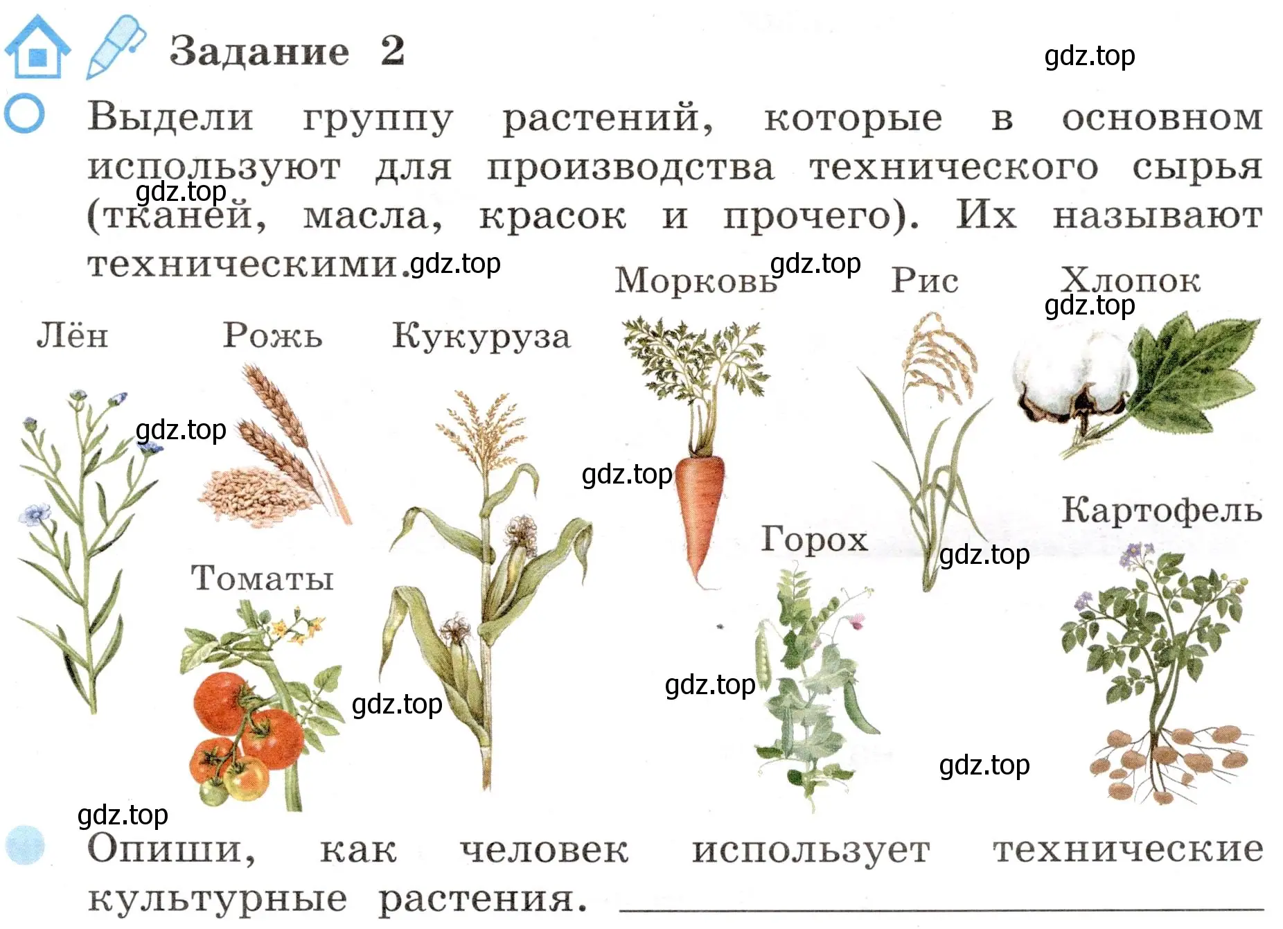 Условие номер 2 (страница 57) гдз по окружающему миру 4 класс Вахрушев, Зорин, рабочая тетрадь 1 часть