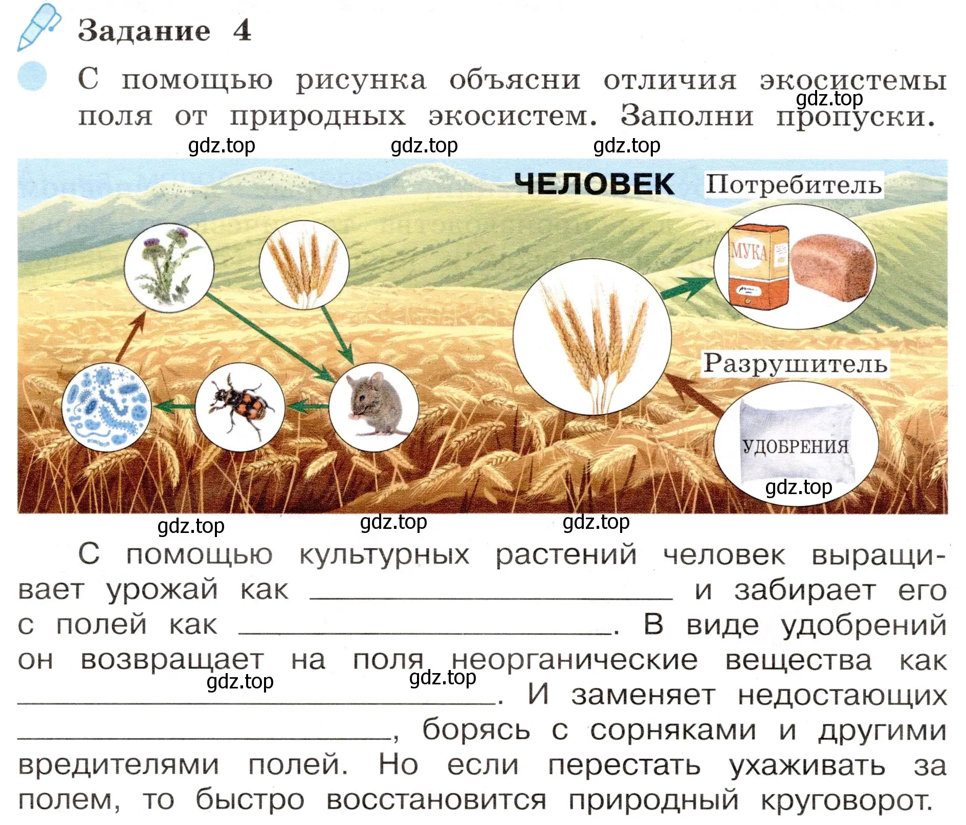 Условие номер 4 (страница 58) гдз по окружающему миру 4 класс Вахрушев, Зорин, рабочая тетрадь 1 часть