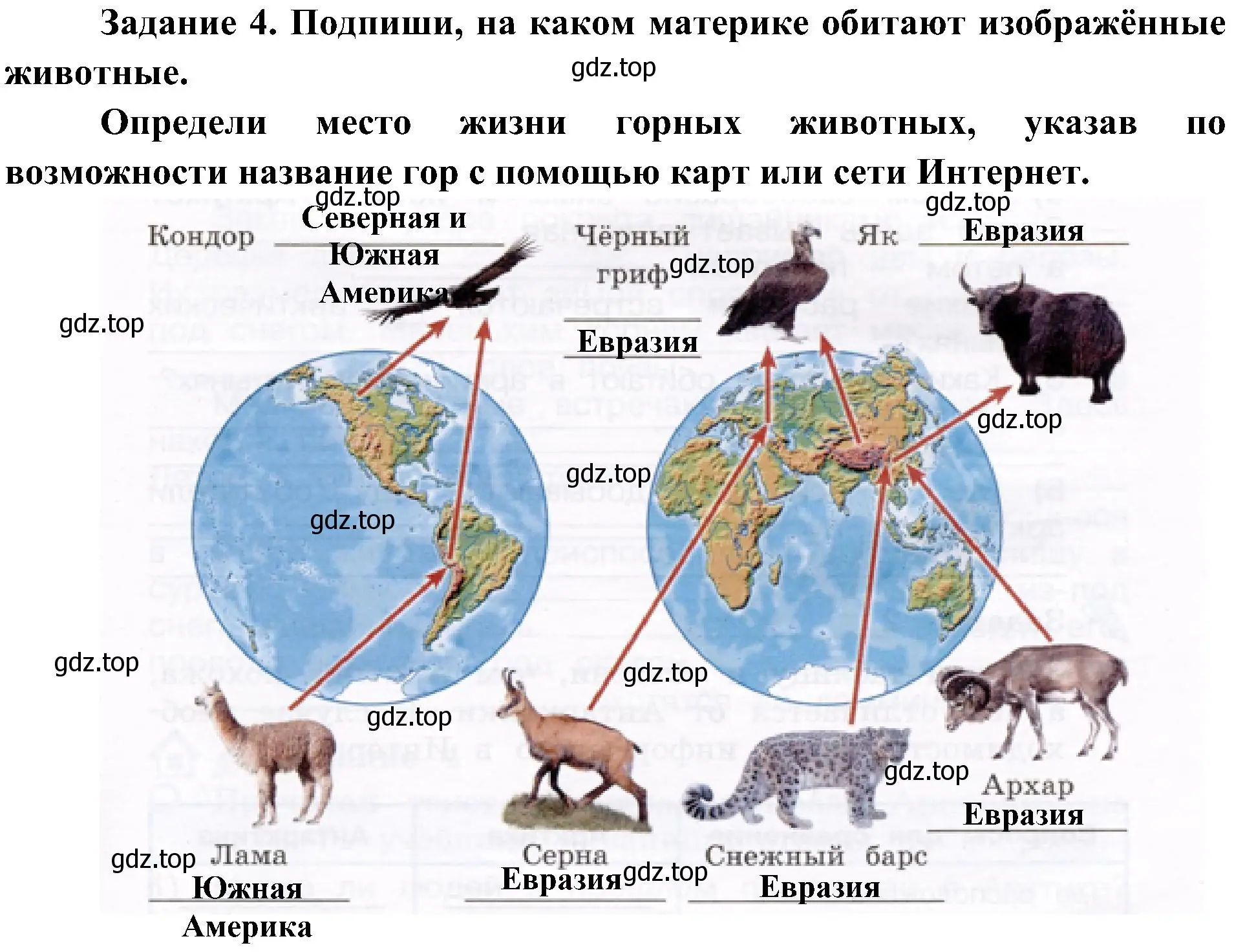 Решение номер 4 (страница 29) гдз по окружающему миру 4 класс Вахрушев, Зорин, рабочая тетрадь 1 часть