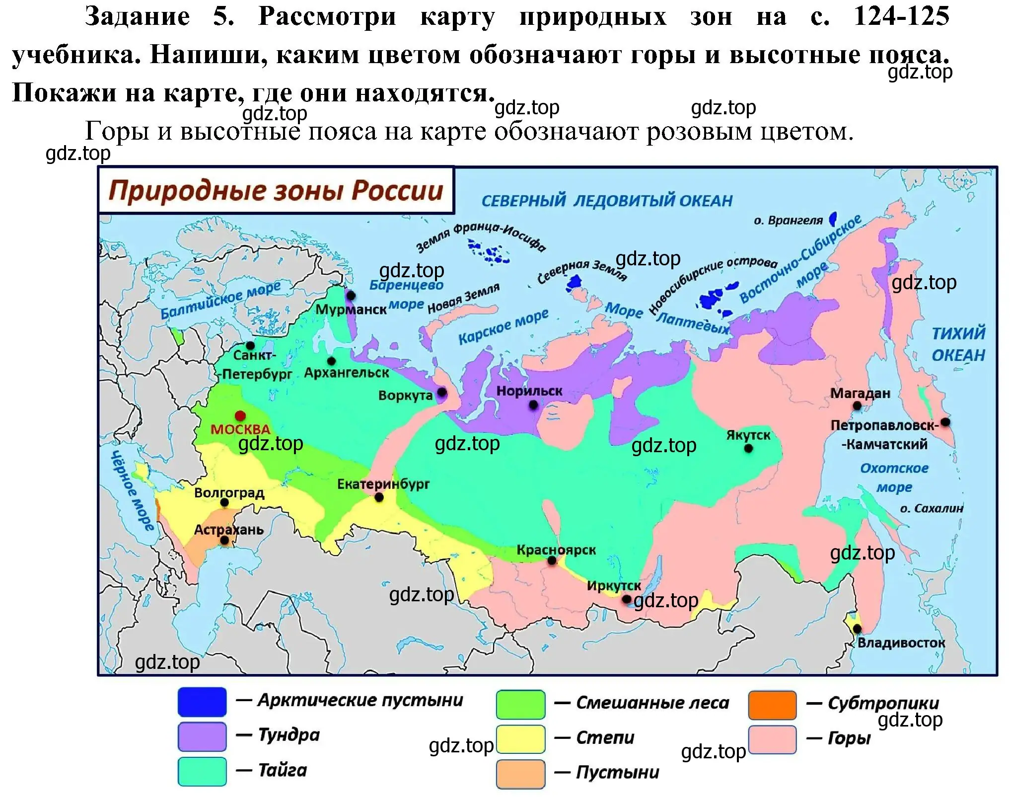 Решение номер 5 (страница 29) гдз по окружающему миру 4 класс Вахрушев, Зорин, рабочая тетрадь 1 часть