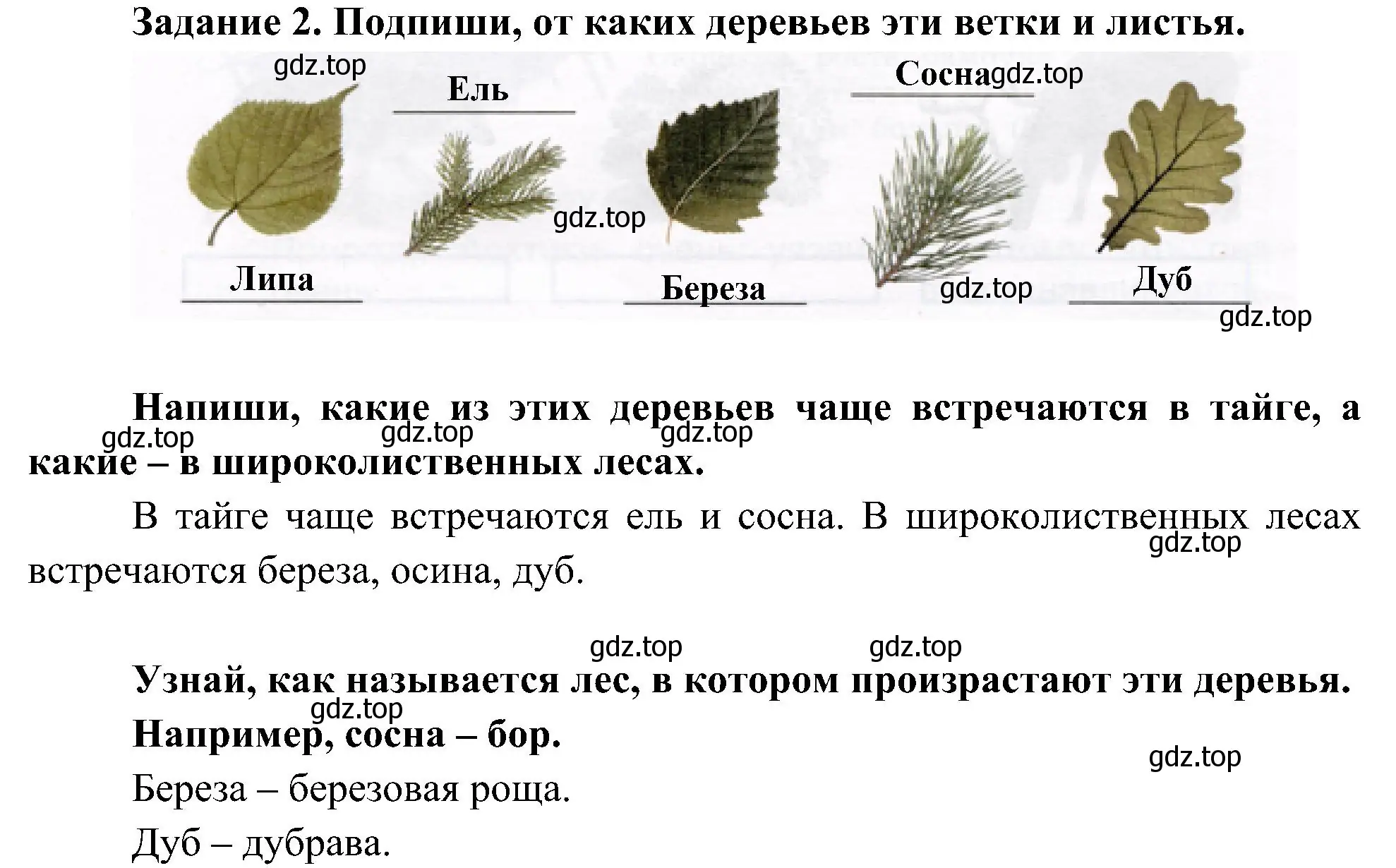 Решение номер 2 (страница 34) гдз по окружающему миру 4 класс Вахрушев, Зорин, рабочая тетрадь 1 часть