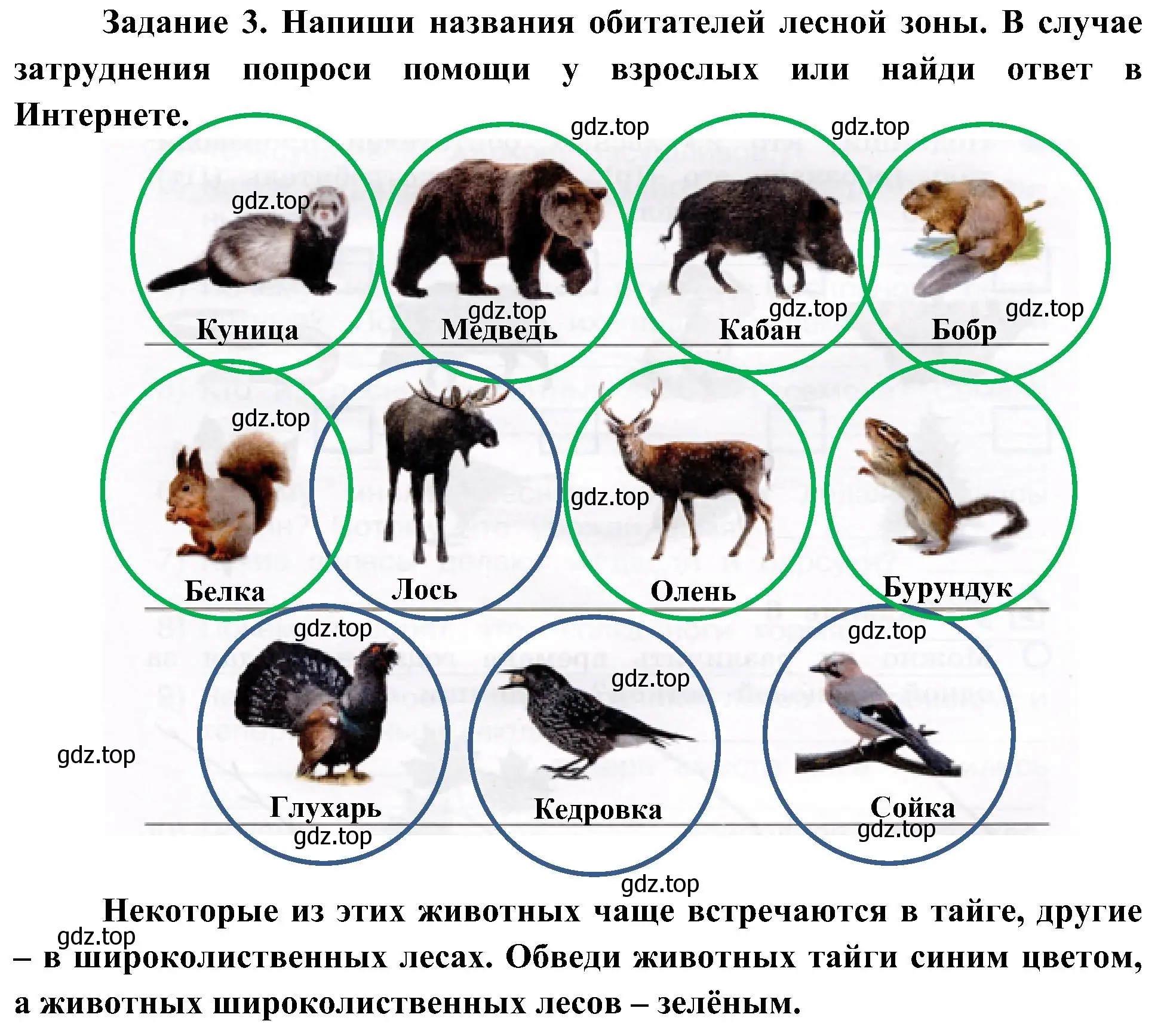 Решение номер 3 (страница 35) гдз по окружающему миру 4 класс Вахрушев, Зорин, рабочая тетрадь 1 часть