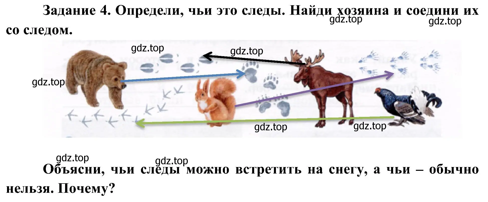 Решение номер 4 (страница 36) гдз по окружающему миру 4 класс Вахрушев, Зорин, рабочая тетрадь 1 часть