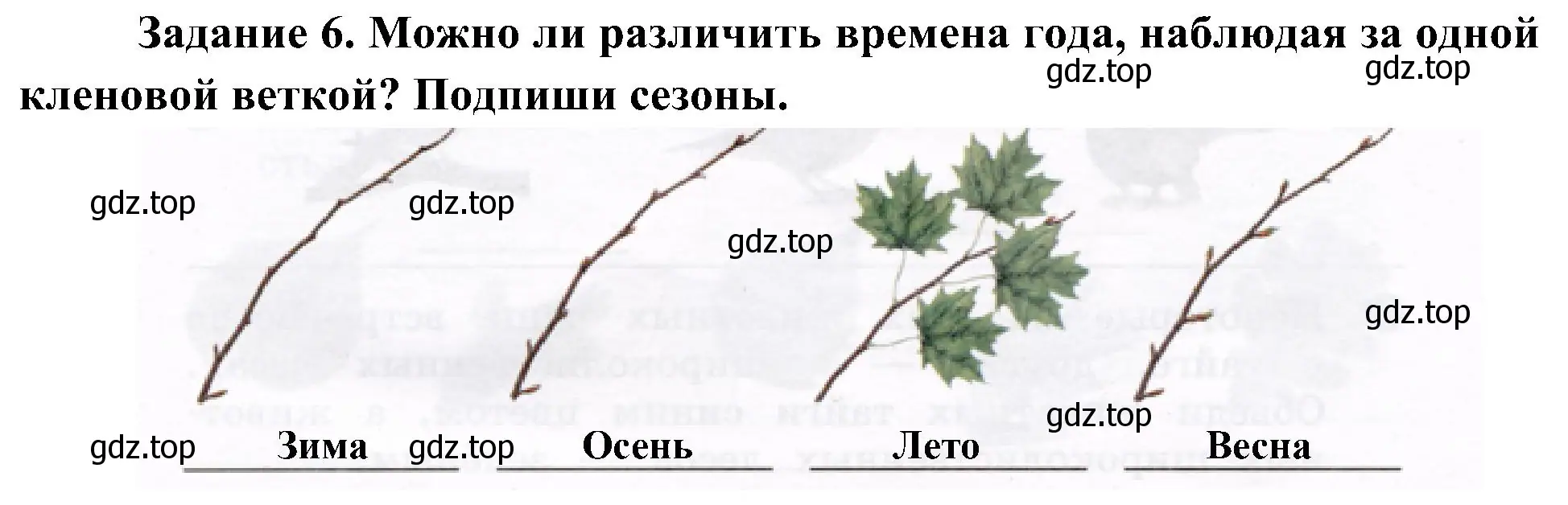 Решение номер 6 (страница 36) гдз по окружающему миру 4 класс Вахрушев, Зорин, рабочая тетрадь 1 часть