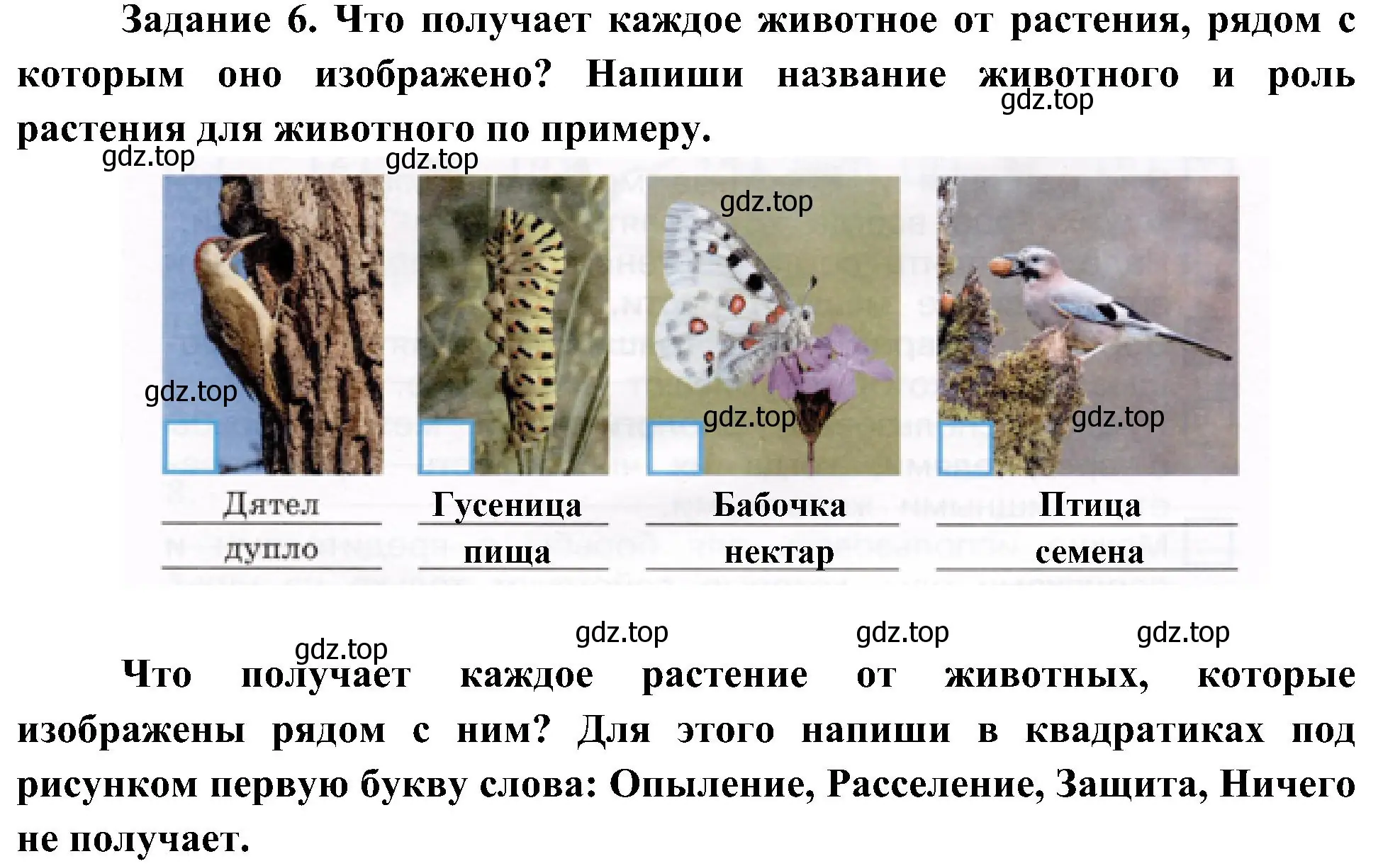 Решение номер 6 (страница 45) гдз по окружающему миру 4 класс Вахрушев, Зорин, рабочая тетрадь 1 часть