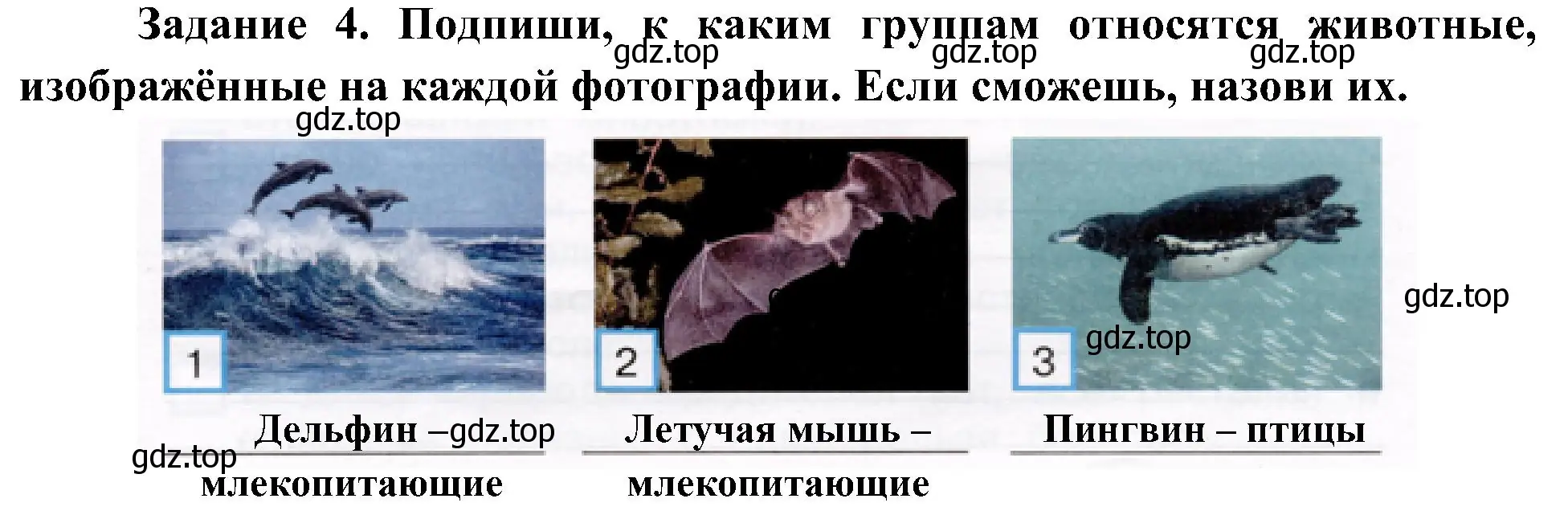 Решение номер 4 (страница 48) гдз по окружающему миру 4 класс Вахрушев, Зорин, рабочая тетрадь 1 часть