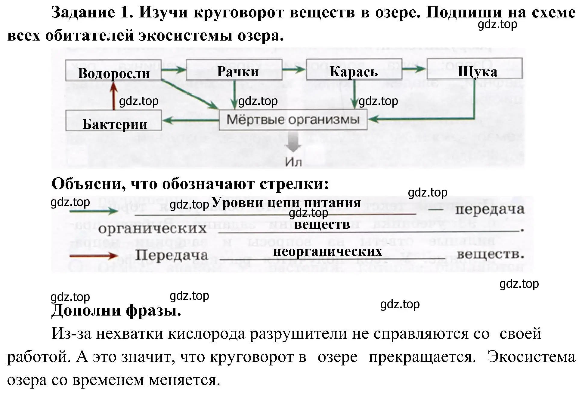 Решение номер 1 (страница 49) гдз по окружающему миру 4 класс Вахрушев, Зорин, рабочая тетрадь 1 часть