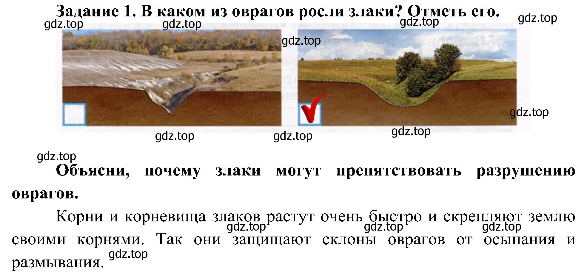 Решение номер 1 (страница 51) гдз по окружающему миру 4 класс Вахрушев, Зорин, рабочая тетрадь 1 часть