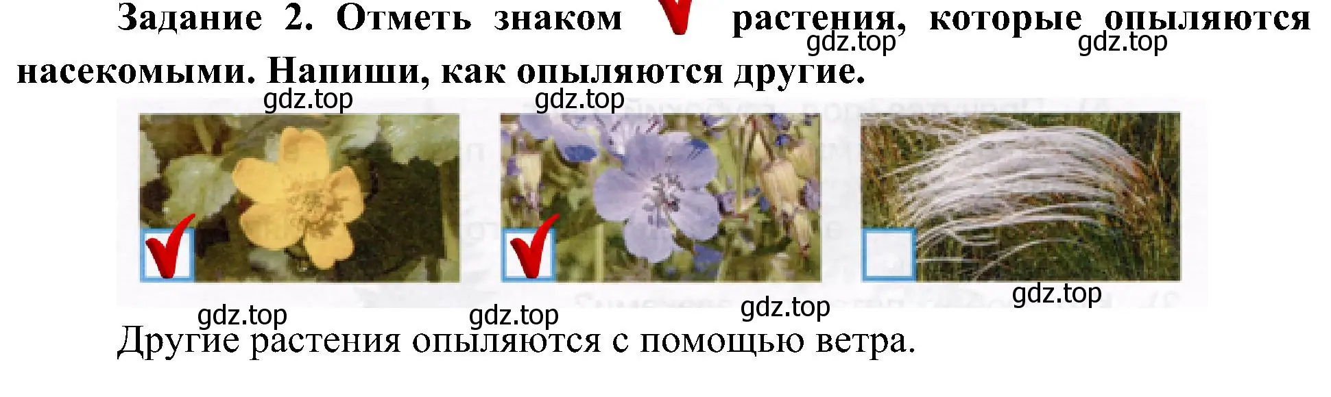 Решение номер 2 (страница 51) гдз по окружающему миру 4 класс Вахрушев, Зорин, рабочая тетрадь 1 часть